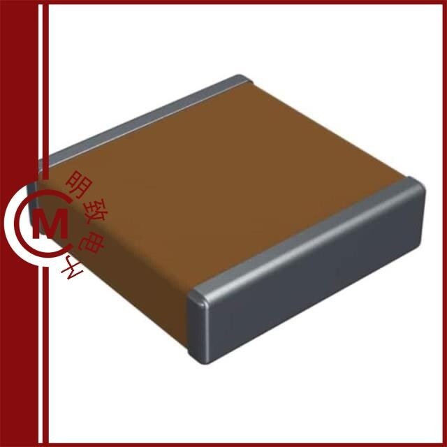 3640HA102MAT3A/3640HA152KAT3A/3640HA222MAT3A