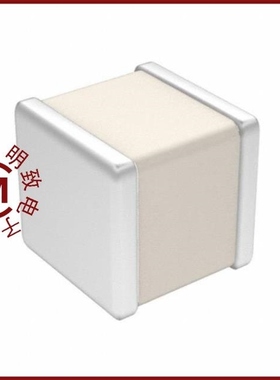 100A3R9BP150X/100A3R9BW150X/100A3R9BT150XT