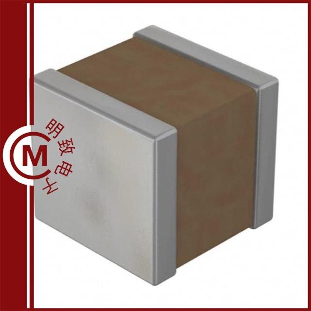 RF1111X333K500KX102T/RF1111X393K500KX102T