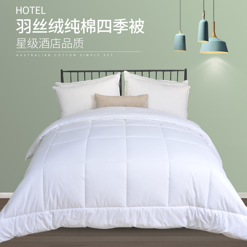 日本进口酒店四季被羽丝绒被芯宾