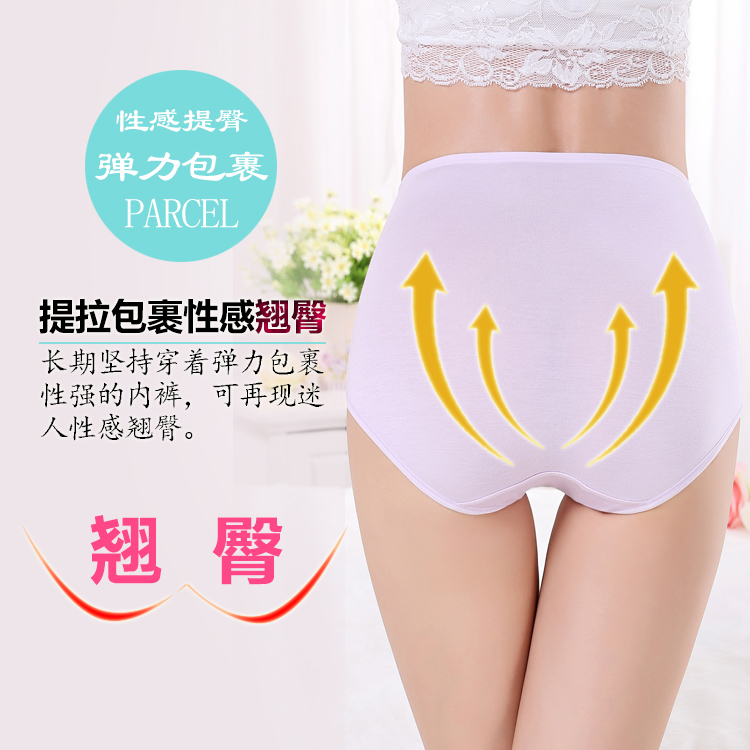 Slip luxueux en coton - Ref 654734 Image 5