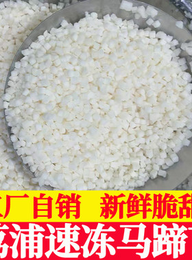 广西荔浦冷冻马蹄丁商用