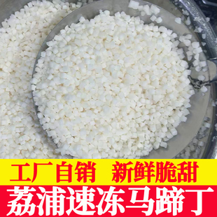 冷冻马蹄丁商用批发广西荔浦特产新鲜荸荠马蹄果去皮甜品店专用