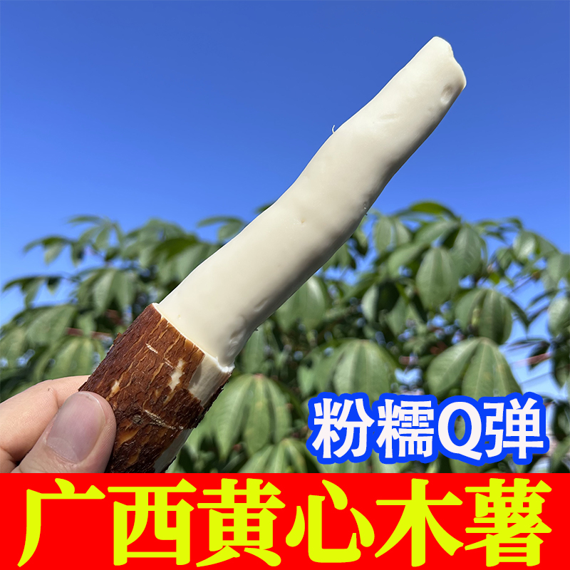 广西桂林高山黄心木薯糖水店同款