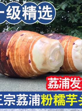 正宗广西桂林荔浦芋头新鲜现挖大芋头香芋槟榔芋粉糯香一级旗舰店