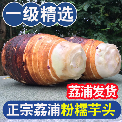 【芋头榜一】荔浦直发保证正宗