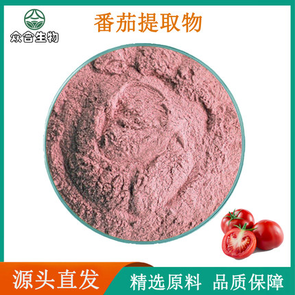 番茄提取物 水溶番茄粉末 原料浓缩萃取精华速溶现货供应增量勺