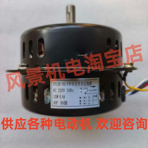 YY120-50/4单相异步电动机净化