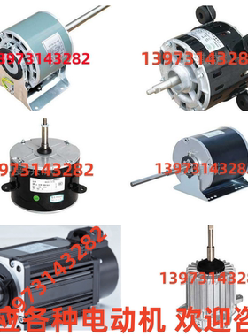 YP48-250-4A003风机用三相异步电动机 各种雷勃电气（常州）马达