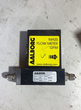 AALBORG GFM37质量流量计,适合测量气体流量,0-