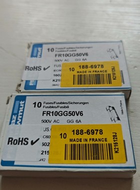 出法国罗兰Ferraz Shawmut保险丝,型号FR10G