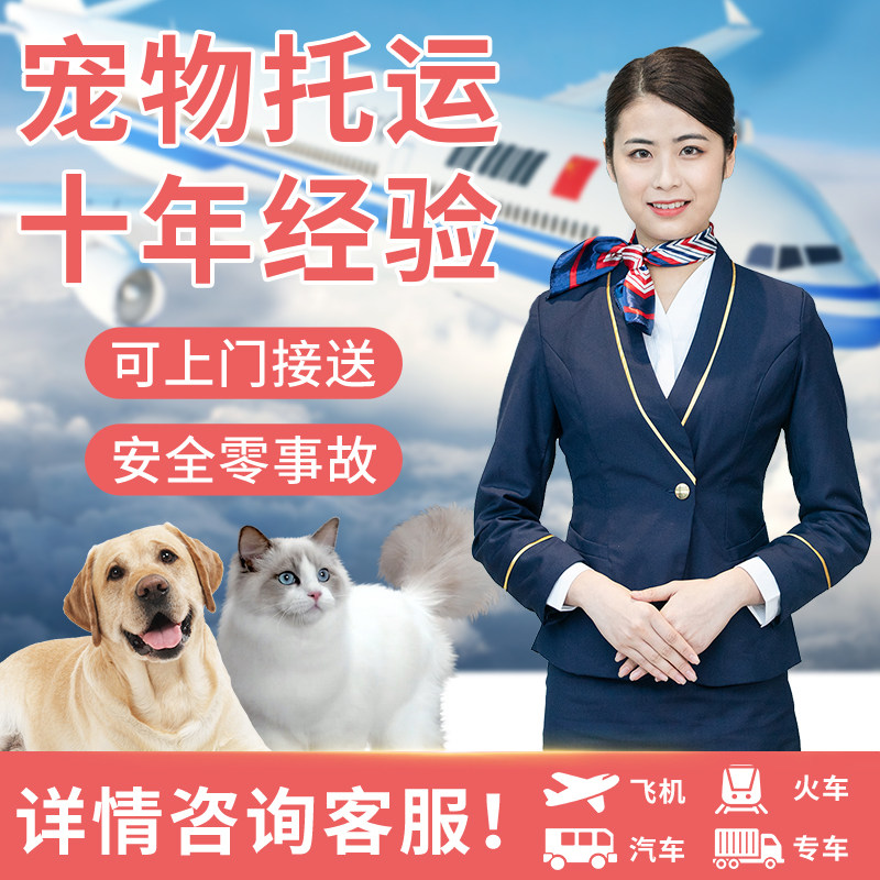 宠物托运服务全国猫咪空运北京上海广州深圳国际邮寄狗狗快递配送
