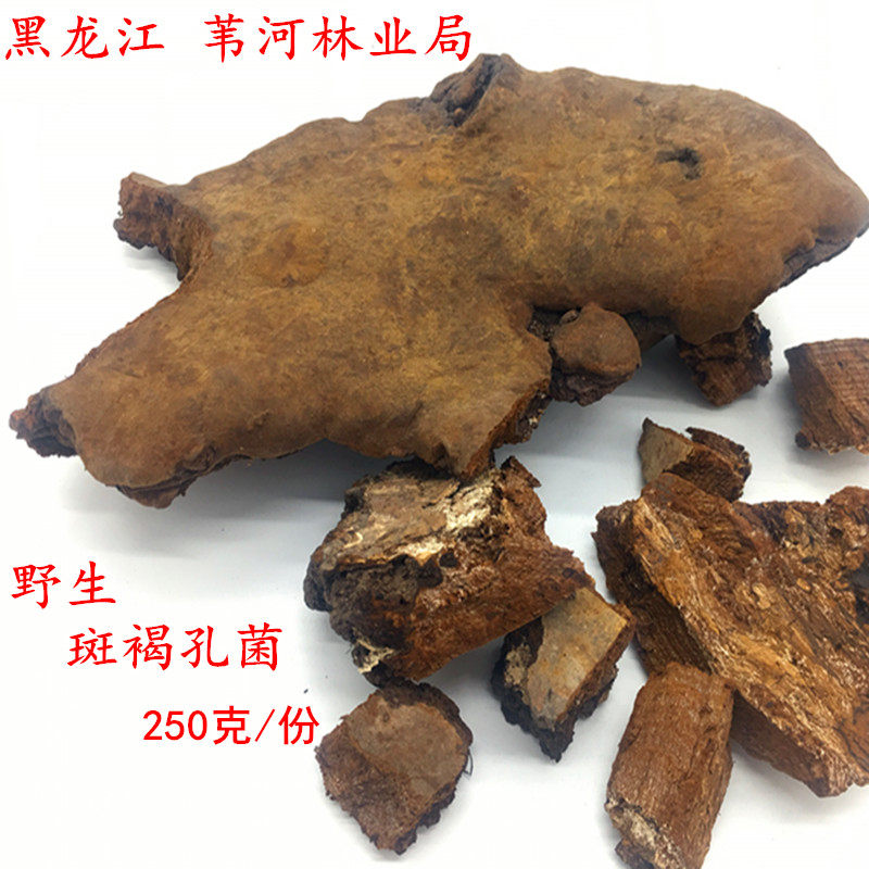 东北野生灵芝野生斑褐孔菌250g 斑褐灵芝干货长白山斑褐菌