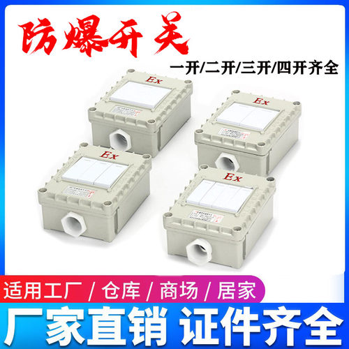 防爆开关220V 10A20A防爆墙壁单开双开三开四开 照明开关双控86型