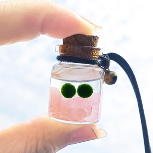 海藻球marimo微景观项链款 随身生态瓶创意迷你植物水培马里莫球藻