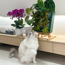 植物画架二孔组合花盆种菜种花绿植阳台书桌置物架立体蜂巢