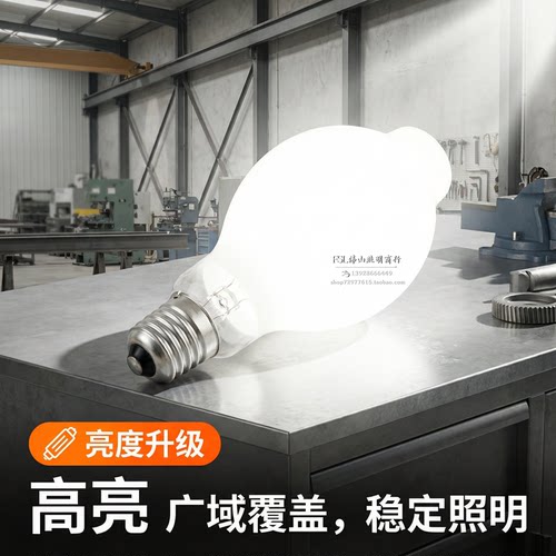 自镇流荧光高压汞灯E40250W450W