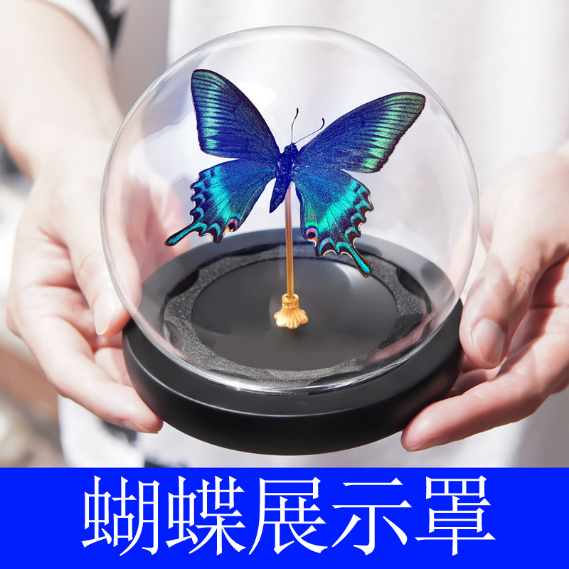 蝴蝶标本玻璃罩纯黑底座装饰杆手工材料摆件微景观摆件展示防尘罩,家居饰品,桌面摆件,淘宝优惠券,粉丝福利购,淘宝优惠卷