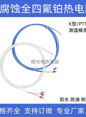 铁氟龙PT100热电阻K型防腐耐酸碱