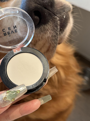 午夜一笔扫下去瞬间天亮了 revecen高光单色眼影哑光b286提亮泪沟