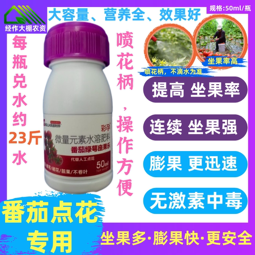番茄授粉座果彩孕座果高