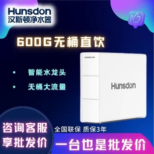 D60 汉斯顿净水器家用600G大流量自来水RO反渗透无桶机直饮机P6