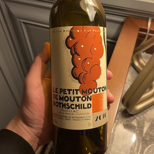 MOUTON 小木桐副牌2010年法国波尔多列级一级名庄红酒葡萄酒