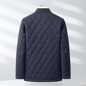 XL-8XL秋冬季加肥加大码立领棉衣薄款棉服外套8379P105-110图片