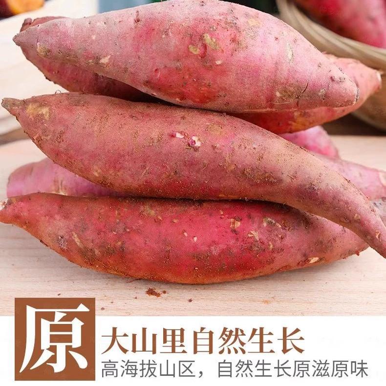 高山上农家自种红薯西瓜番红番薯，软糯香甜， 新鲜番薯。