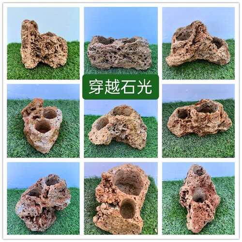 吸水石上水石小盆景石头自吸水花盆菖蒲石斛蕨类文竹小植物创意盆