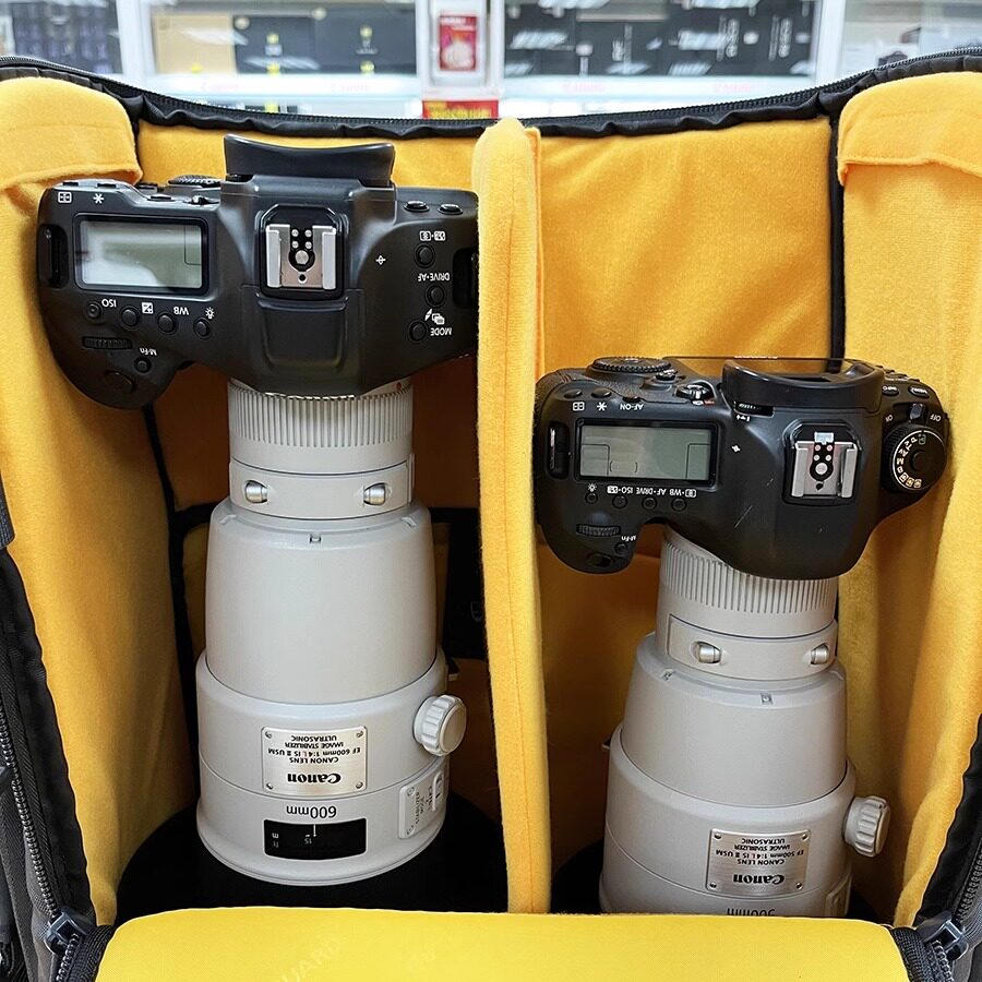 SLR 600 망원 조류 사냥 800 대포 400 고정 초점 듀얼 기계 멀티 헤드 사진 가방 야외 마이크로 단일 라이트 배낭