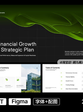 小众高端简约商务财务增长战略规划数据可视化PPT模板设计素材02