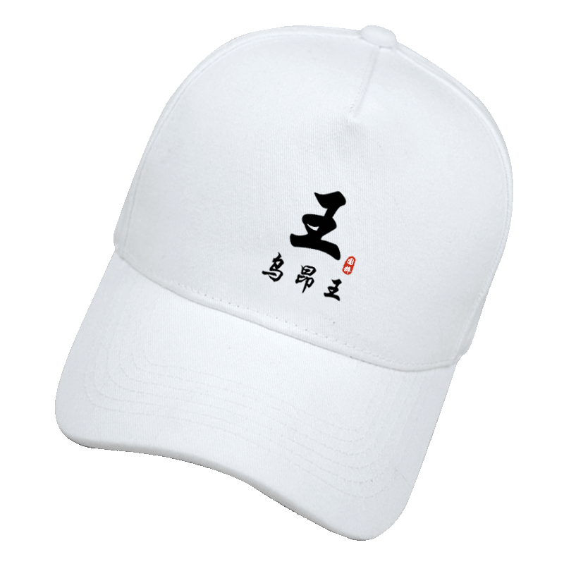 搞笑姓氏谐音梗百家姓短袖T定制