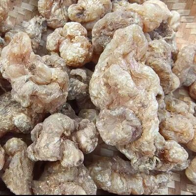 精选山货泰王参养生茶参茶