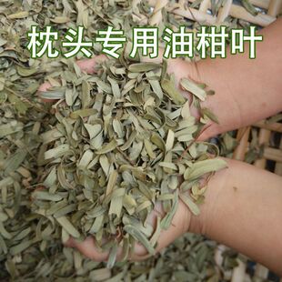 【油柑叶】广西油柑叶枕头叶柑子叶枕头芯油甘叶