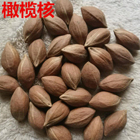 新货中药材橄榄核 精选 野生青