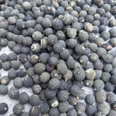 越南珍藏 高山高海拔小肝胎