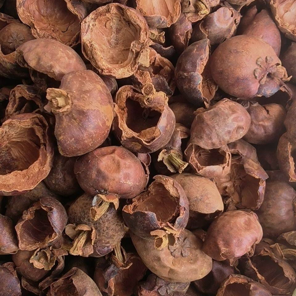 中药材山竹壳 山竹壳 山竹外壳