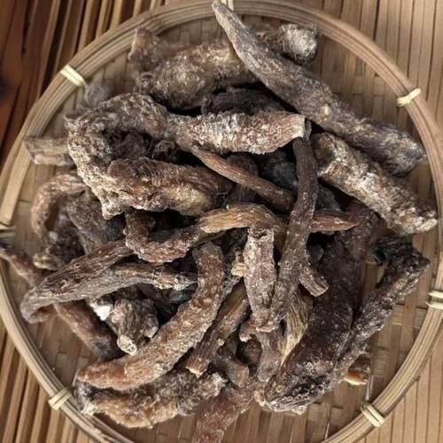 【龙尾参】中缅边境山货龙尾参滋补