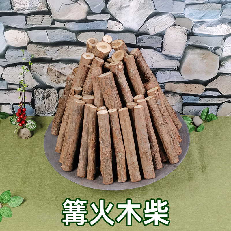 杂木柴篝火露营庭院欢聚集会烧烤