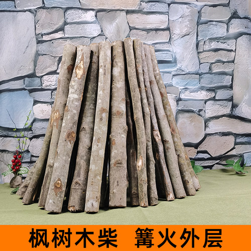 枫树木柴火灶烹饪食物篝火柴