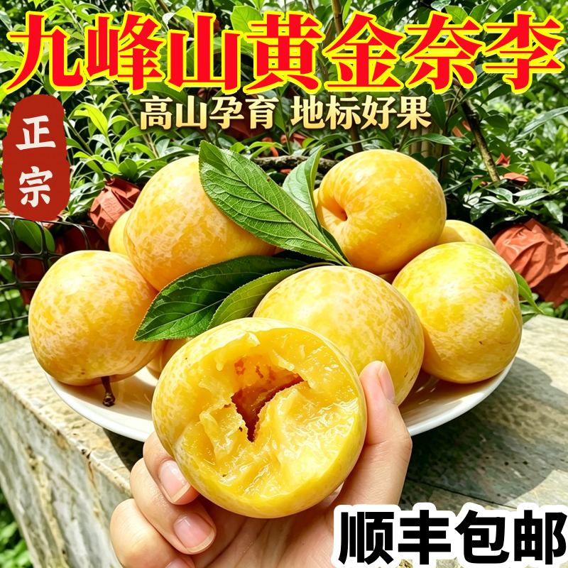 乐昌九峰山黄金奈李新鲜水果应当季时令整箱特产脆甜李子鲜果现摘