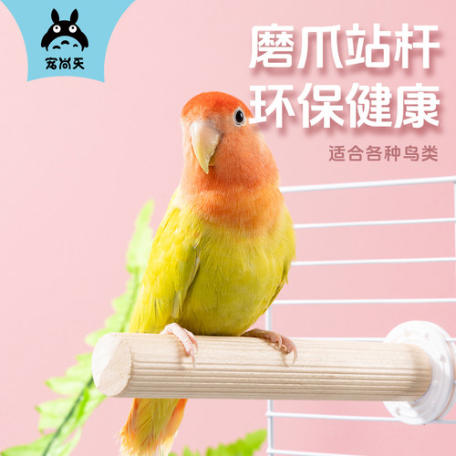 宠尚天鹦鹉站杆八哥玄凤牡丹站棍