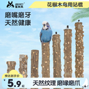宠尚天纯天然花椒木鹩哥八哥画眉虎皮鹦鹉磨爪棒鸟站杆站棍栖站架