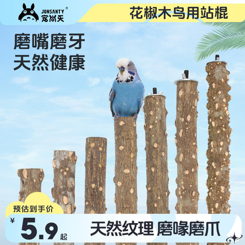 鹦鹉花椒木站棍宠尚天