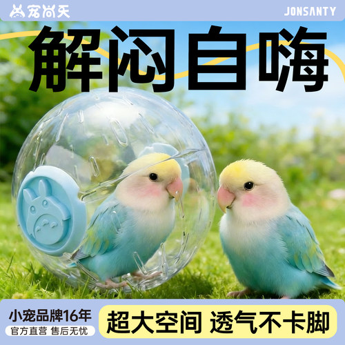 【解闷玩具】鹦鹉跑步球