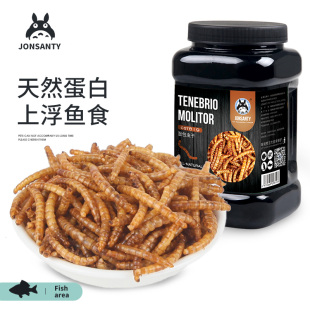 面包虫活体虫干黄粉虫鹦鹉鱼乌龟金龙鱼画眉鸟鱼饲料500克 宠尚天