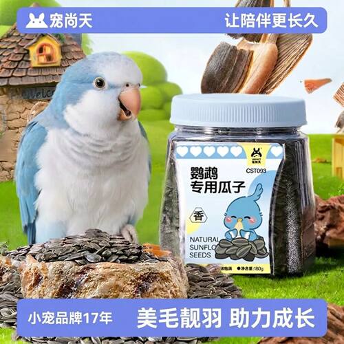 鹦鹉零食油葵瓜子训练奖励粮食