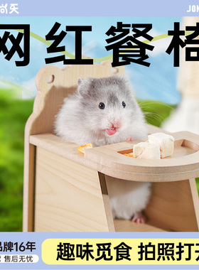 宠尚天仓鼠网红餐桌椅金丝熊用品大全吃饭玩具台摆拍可爱桌子造景