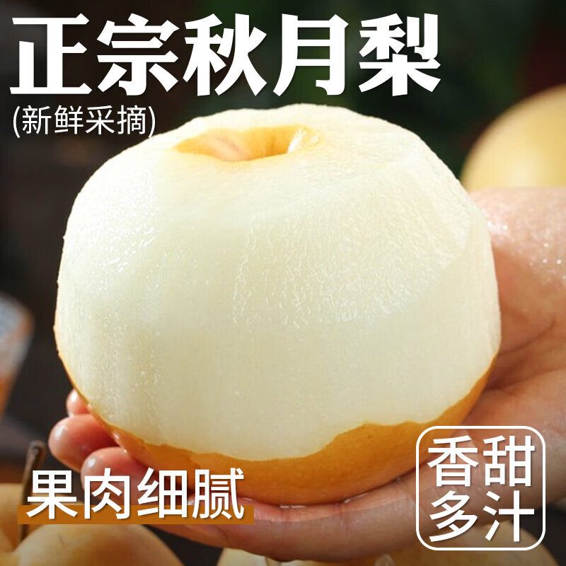 正宗山东莱阳新鲜现摘秋月梨